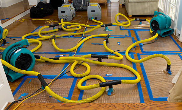 Professional Crawl Space Water Removal technician working in Madisonville, TX